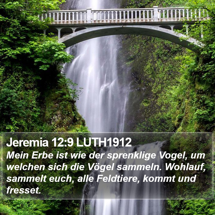 Jeremia 12:9 LUTH1912 Bible Study