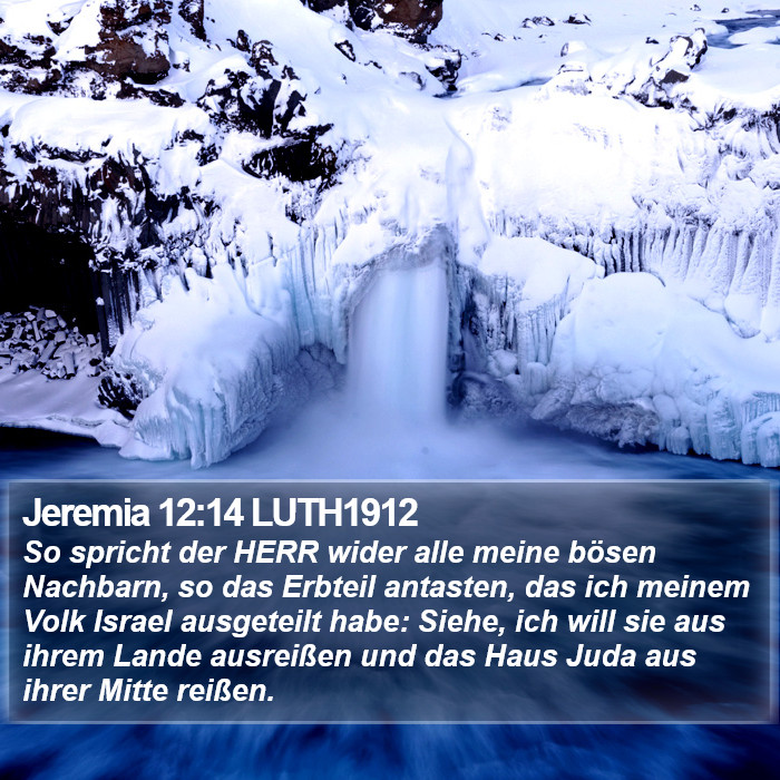 Jeremia 12:14 LUTH1912 Bible Study