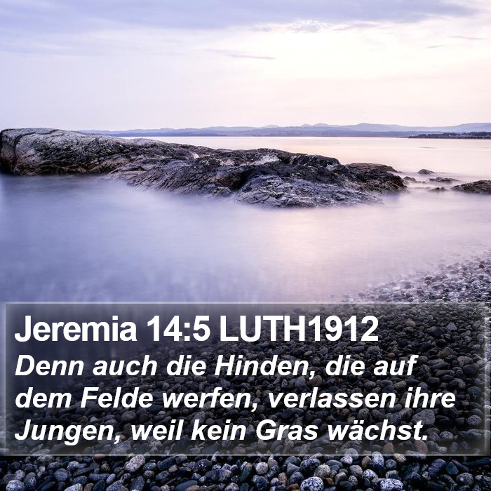 Jeremia 14:5 LUTH1912 Bible Study