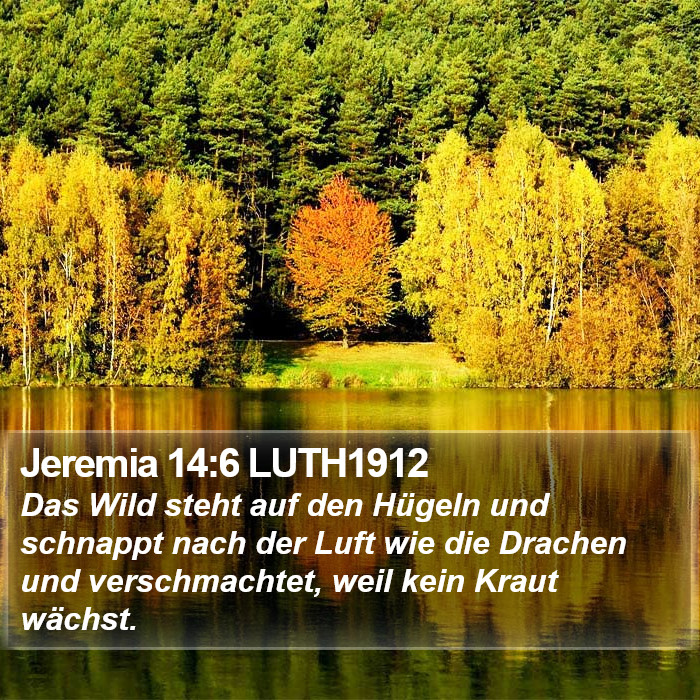 Jeremia 14:6 LUTH1912 Bible Study