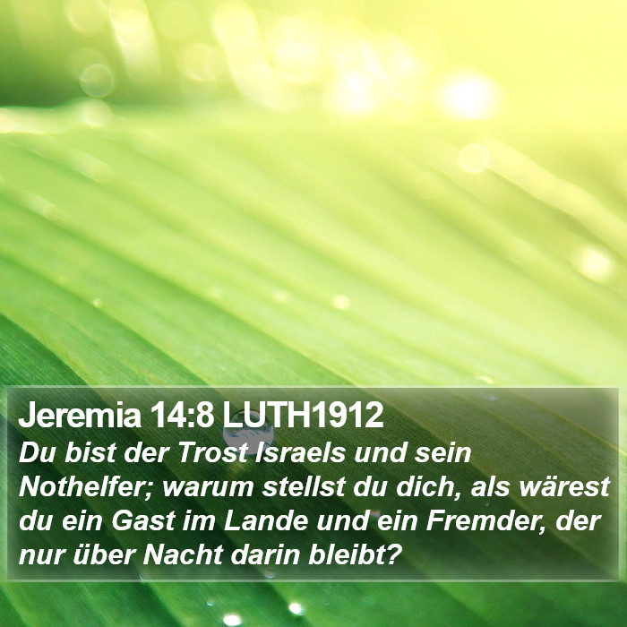 Jeremia 14:8 LUTH1912 Bible Study