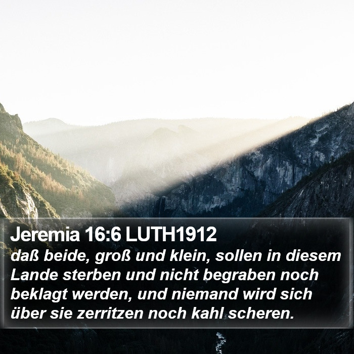 Jeremia 16:6 LUTH1912 Bible Study