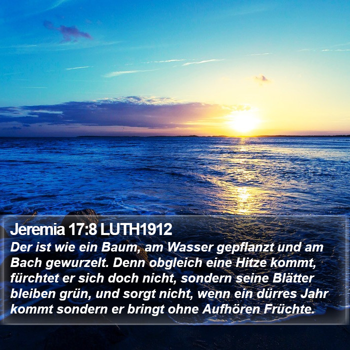 Jeremia 17:8 LUTH1912 Bible Study