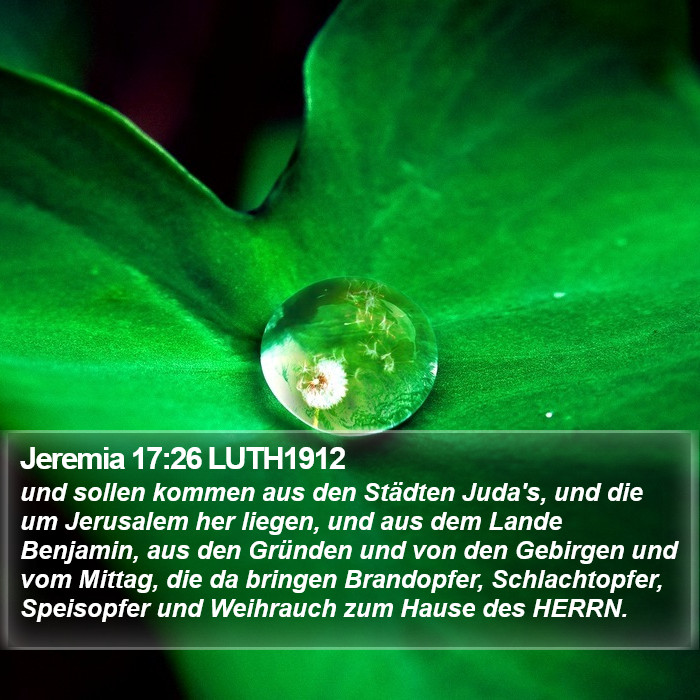 Jeremia 17:26 LUTH1912 Bible Study