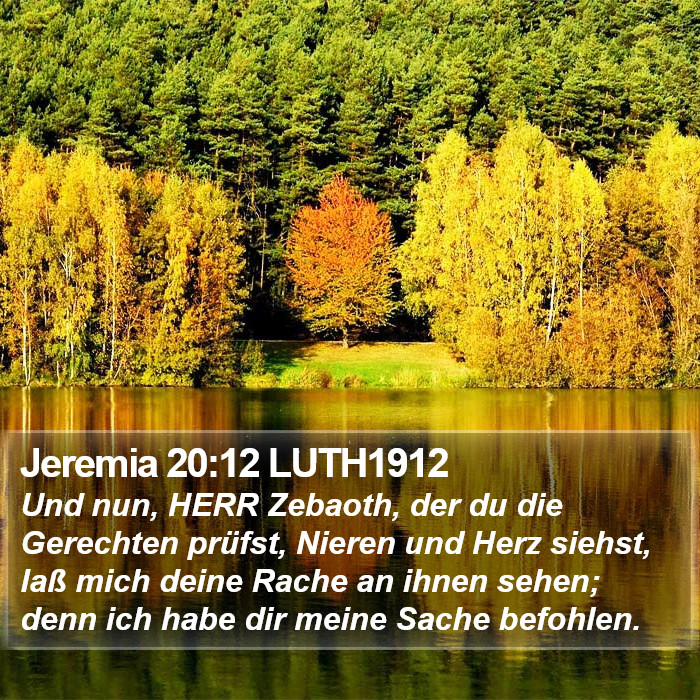 Jeremia 20:12 LUTH1912 Bible Study