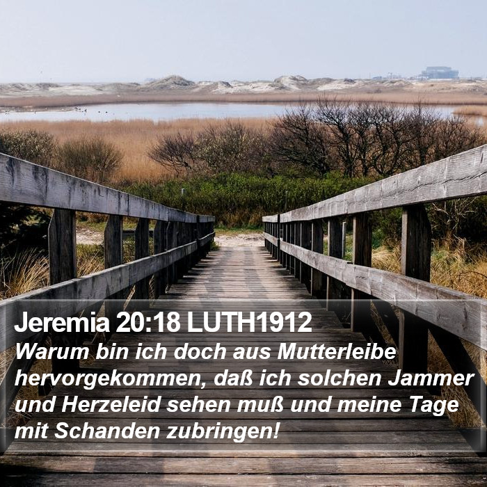 Jeremia 20:18 LUTH1912 Bible Study
