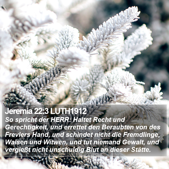 Jeremia 22:3 LUTH1912 Bible Study