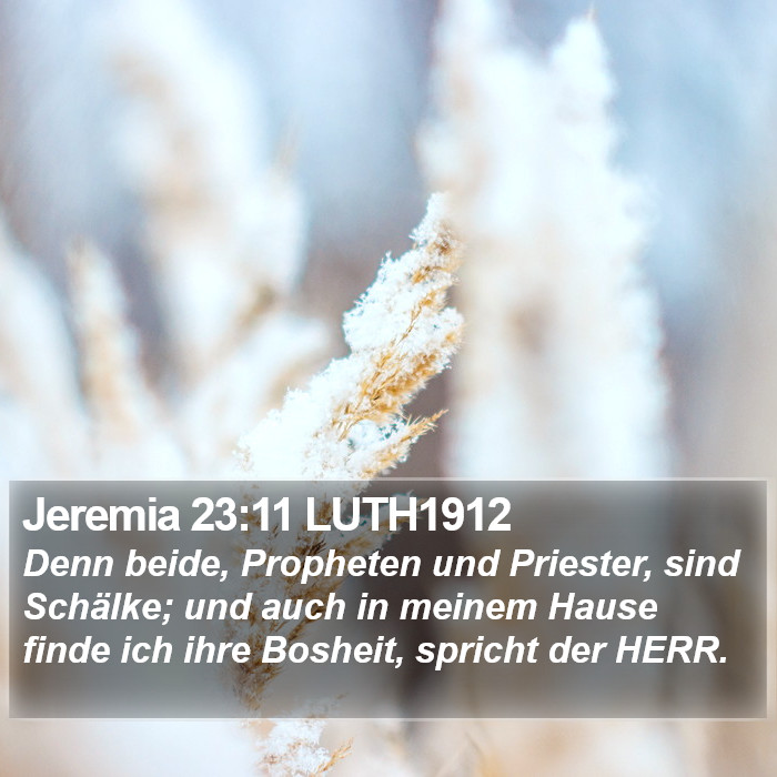 Jeremia 23:11 LUTH1912 Bible Study