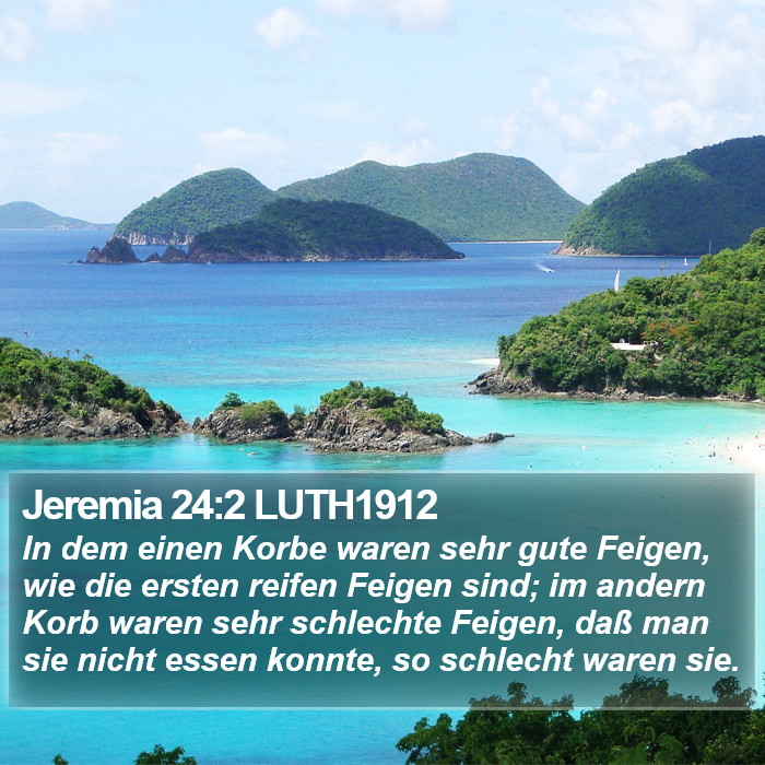 Jeremia 24:2 LUTH1912 Bible Study