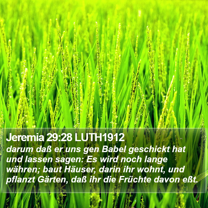 Jeremia 29:28 LUTH1912 Bible Study