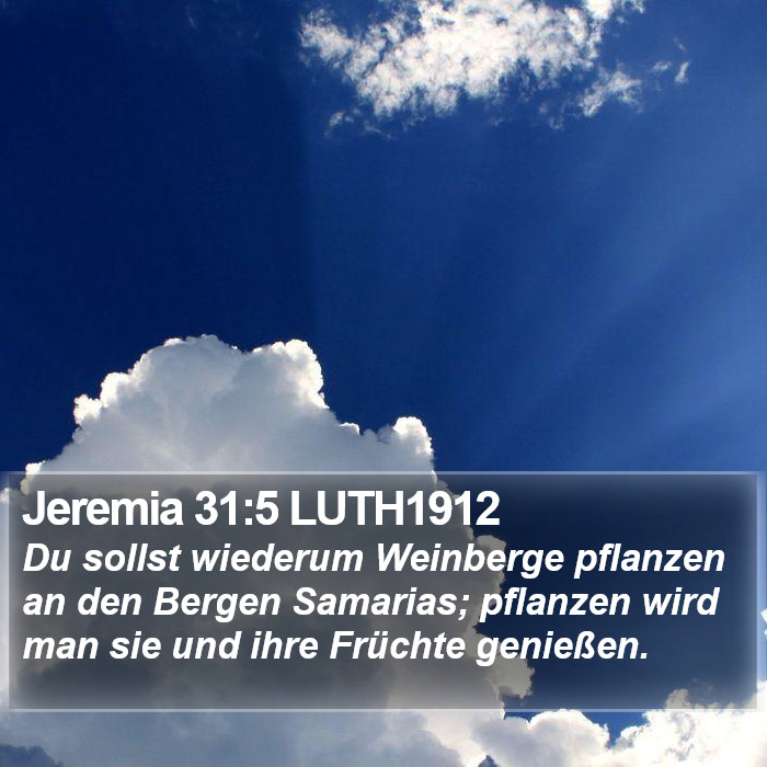 Jeremia 31:5 LUTH1912 Bible Study