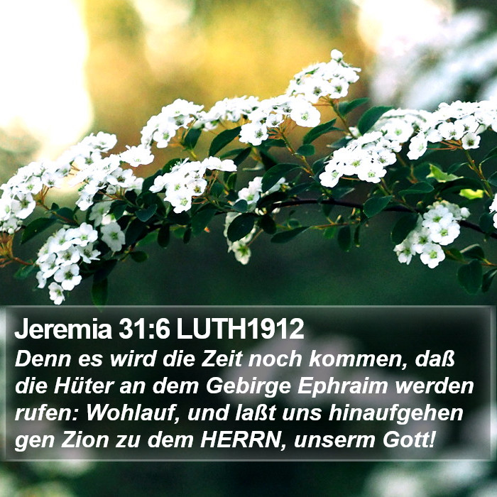 Jeremia 31:6 LUTH1912 Bible Study