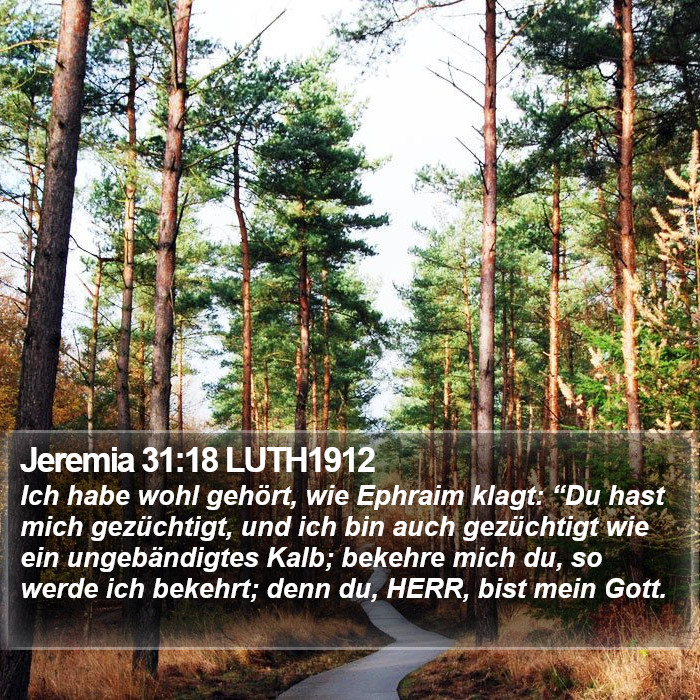 Jeremia 31:18 LUTH1912 Bible Study