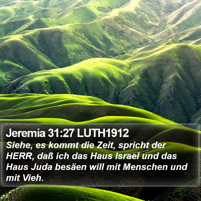 Jeremia 31:27 LUTH1912 Bible Study