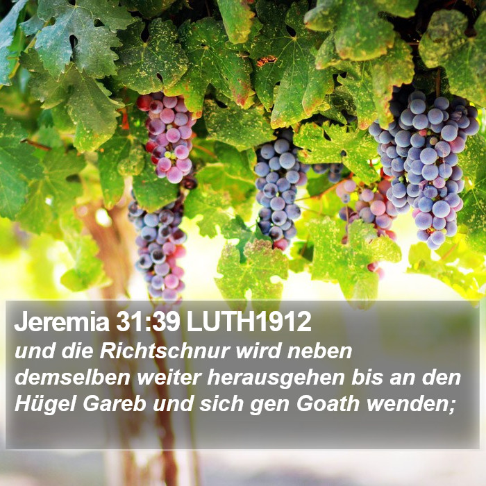 Jeremia 31:39 LUTH1912 Bible Study