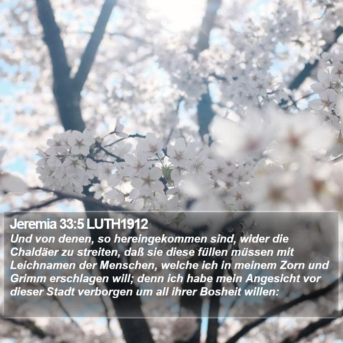 Jeremia 33:5 LUTH1912 Bible Study