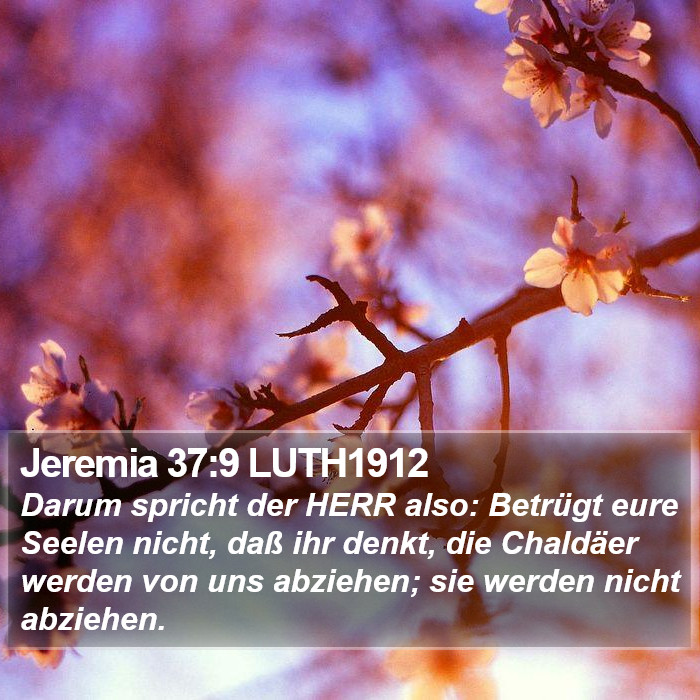 Jeremia 37:9 LUTH1912 Bible Study