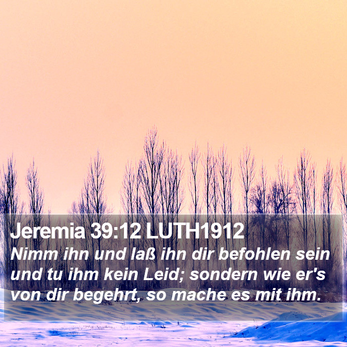 Jeremia 39:12 LUTH1912 Bible Study