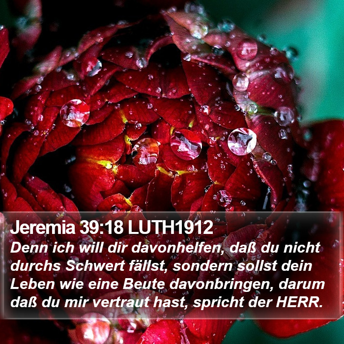 Jeremia 39:18 LUTH1912 Bible Study