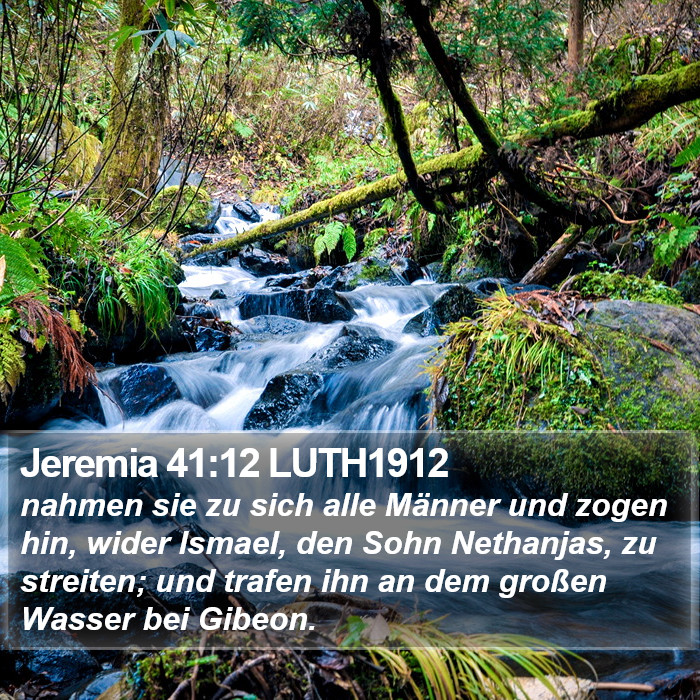 Jeremia 41:12 LUTH1912 Bible Study