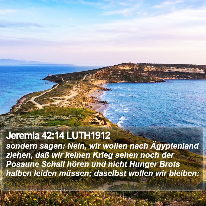 Jeremia 42:14 LUTH1912 Bible Study