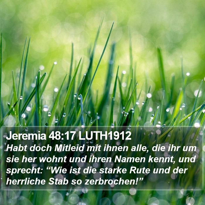 Jeremia 48:17 LUTH1912 Bible Study