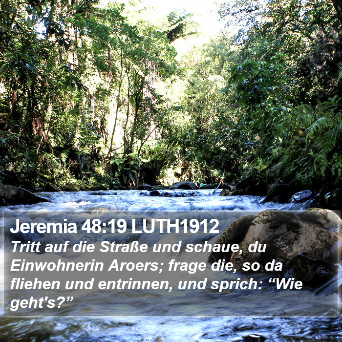 Jeremia 48:19 LUTH1912 Bible Study