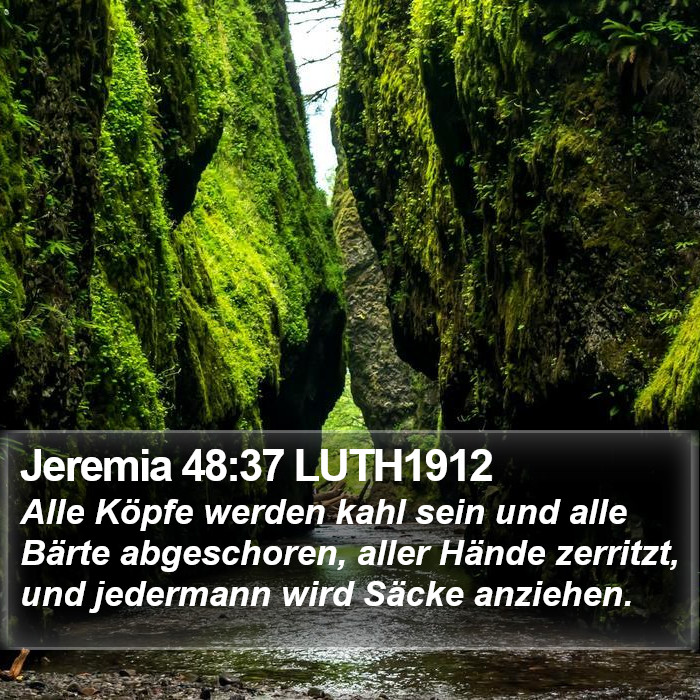 Jeremia 48:37 LUTH1912 Bible Study