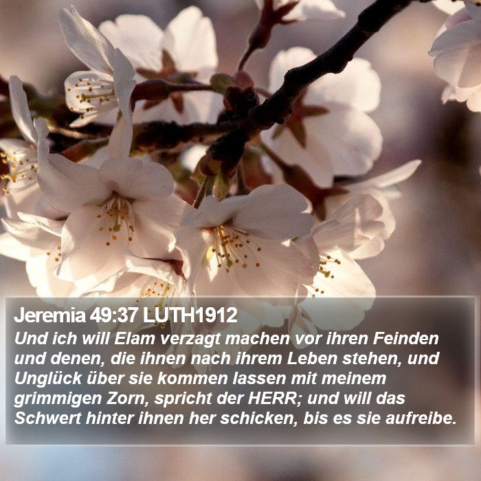 Jeremia 49:37 LUTH1912 Bible Study