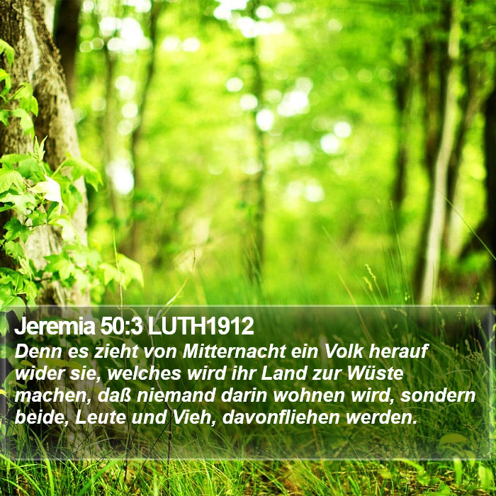 Jeremia 50:3 LUTH1912 Bible Study