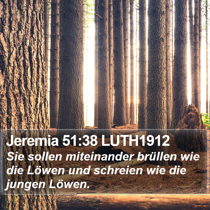 Jeremia 51:38 LUTH1912 Bible Study