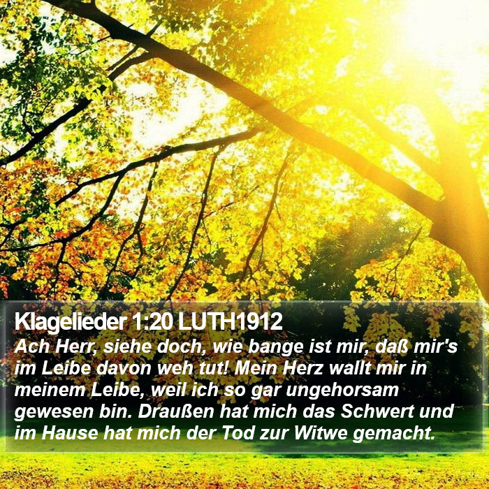 Klagelieder 1:20 LUTH1912 Bible Study