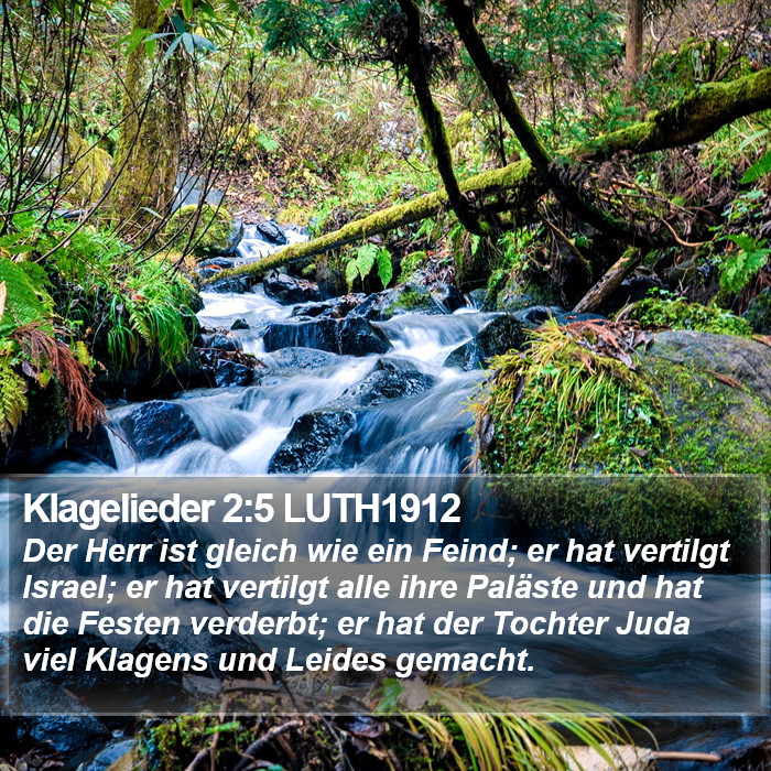 Klagelieder 2:5 LUTH1912 Bible Study