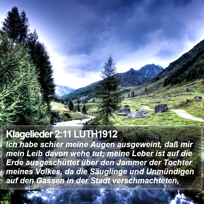 Klagelieder 2:11 LUTH1912 Bible Study