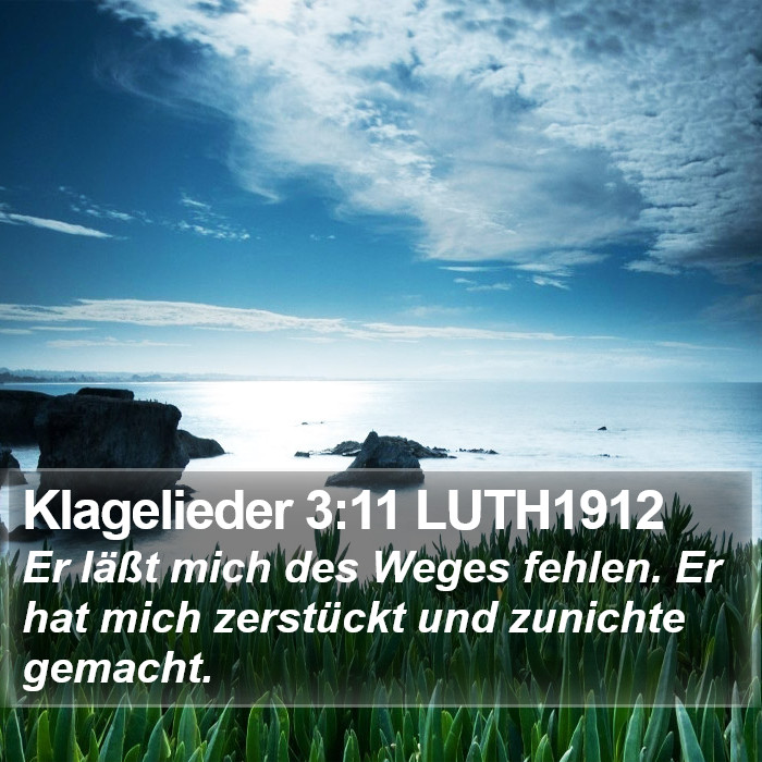 Klagelieder 3:11 LUTH1912 Bible Study