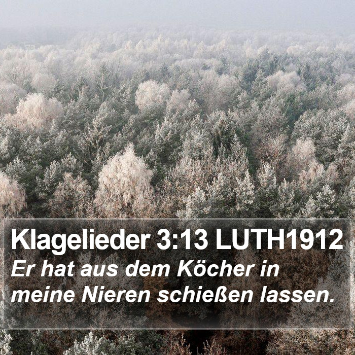 Klagelieder 3:13 LUTH1912 Bible Study