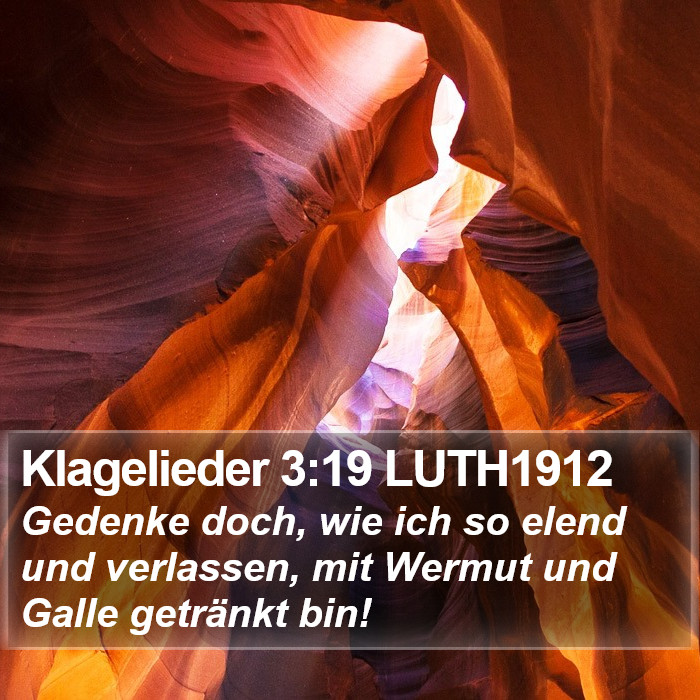 Klagelieder 3:19 LUTH1912 Bible Study