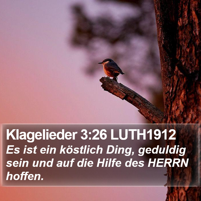Klagelieder 3:26 LUTH1912 Bible Study