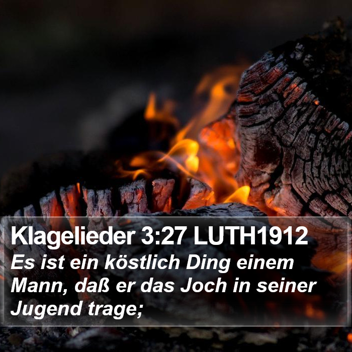 Klagelieder 3:27 LUTH1912 Bible Study