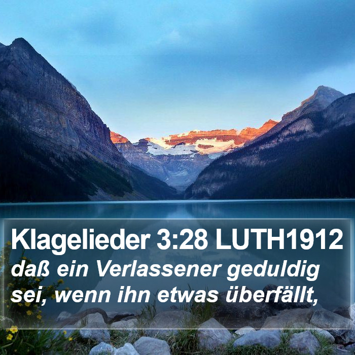 Klagelieder 3:28 LUTH1912 Bible Study