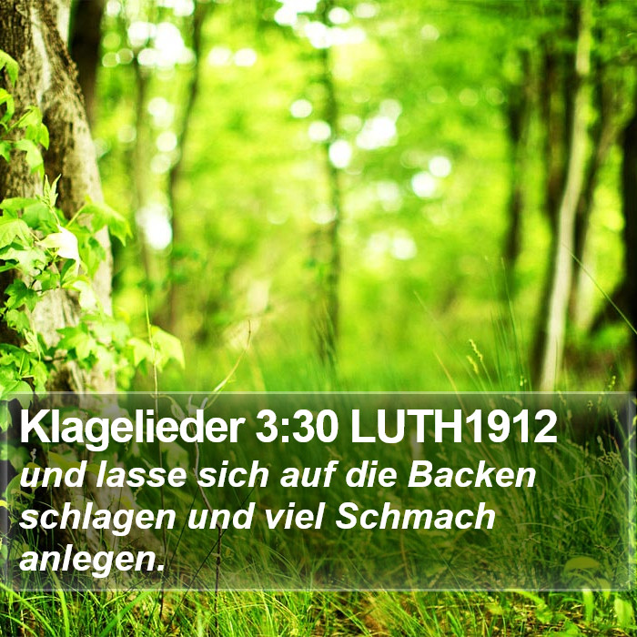 Klagelieder 3:30 LUTH1912 Bible Study