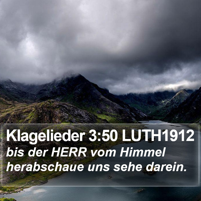 Klagelieder 3:50 LUTH1912 Bible Study