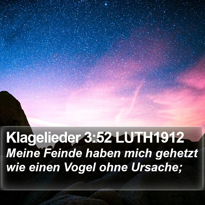 Klagelieder 3:52 LUTH1912 Bible Study