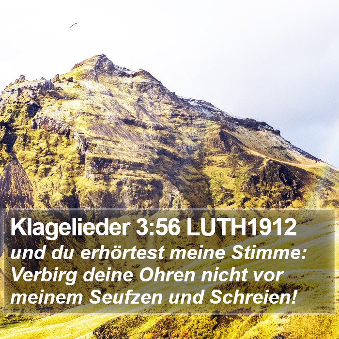 Klagelieder 3:56 LUTH1912 Bible Study
