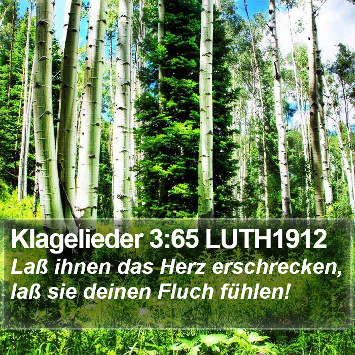 Klagelieder 3:65 LUTH1912 Bible Study