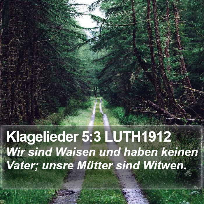 Klagelieder 5:3 LUTH1912 Bible Study