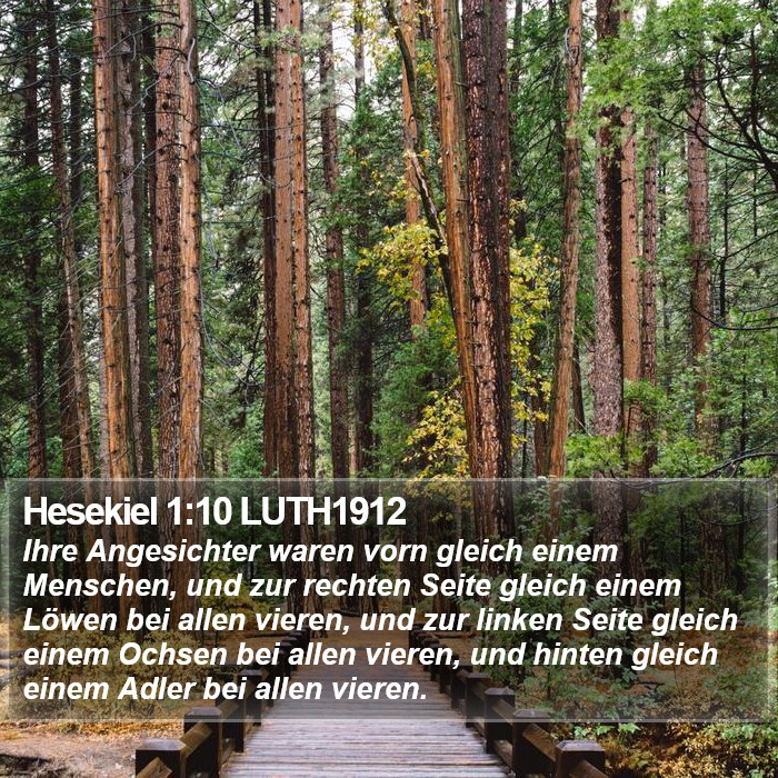 Hesekiel 1:10 LUTH1912 Bible Study