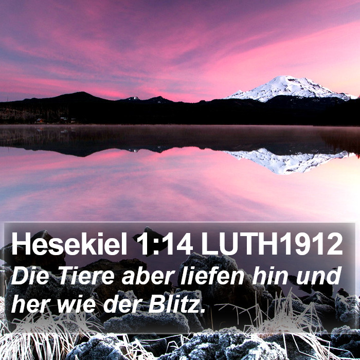 Hesekiel 1:14 LUTH1912 Bible Study