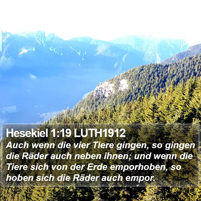 Hesekiel 1:19 LUTH1912 Bible Study