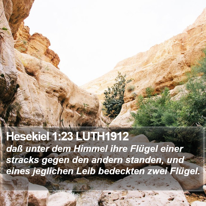 Hesekiel 1:23 LUTH1912 Bible Study